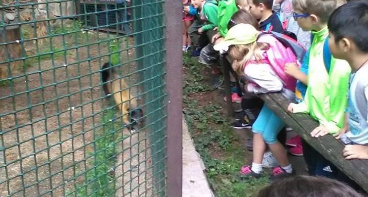 šd zoo.jpg